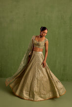 Load image into Gallery viewer, mint green lehenga set