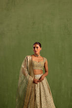 Load image into Gallery viewer, mint green lehenga set