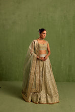 Load image into Gallery viewer, mint green lehenga set