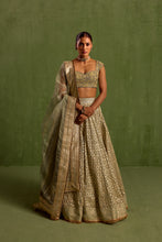 Load image into Gallery viewer, mint green lehenga set