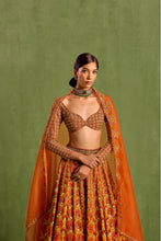 Load image into Gallery viewer, rust lehenga set