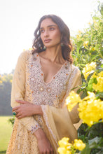 Load image into Gallery viewer, Amethyst Kalidar Kurta Set