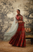Load image into Gallery viewer, AROHI SHARARA SET