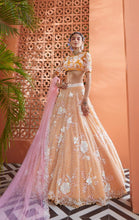 Load image into Gallery viewer, Carnation lehenga set