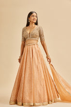 Load image into Gallery viewer, PEACH ORGANZA LEHENGA WITH GOLD CHOLI