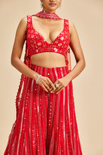 Load image into Gallery viewer, RED SHARARA SET