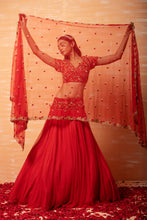Load image into Gallery viewer, Red Hand Embroidered Net Lehenga Set