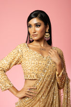 Load image into Gallery viewer, Golden hand-embroidered saree set