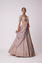 Load image into Gallery viewer, ASH PINK MIRROR FLOWER EMBROIDERED LEHENGA SET