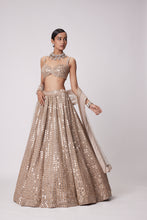 Load image into Gallery viewer, LIGHT BEIGE HAND EMBROIDERED LEHENGA SET