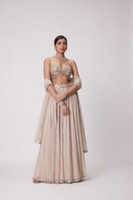 Load image into Gallery viewer, LIGHT BEIGE GEORGETTE LEHENGA PANTS SET
