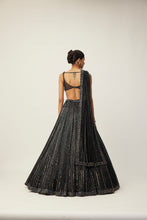 Load image into Gallery viewer, Black crystal Linear Embroidered Lehenga Set