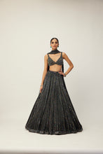 Load image into Gallery viewer, Black crystal Linear Embroidered Lehenga Set