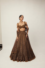 Load image into Gallery viewer, Copper crystal Linear embroidered Lehenga set