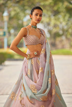 Load image into Gallery viewer, Ash Pink Flower Lehenga Set