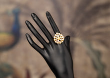 Load image into Gallery viewer, Afsa