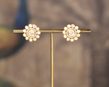 Load image into Gallery viewer, ARIKA