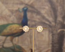 Load image into Gallery viewer, ARIKA