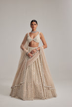 Load image into Gallery viewer, Light Beige Dense mirror and pearl lehenga set with Double Dupatta and Veil