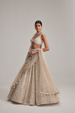 Load image into Gallery viewer, Light Beige Dense mirror and pearl lehenga set With Double Dupatta