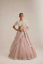 Load image into Gallery viewer, Ash Pink Pearl Drop Lehenga with high neck blouse
