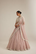 Load image into Gallery viewer, Ash Pink Pearl Drop Lehenga with high neck blouse