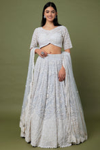 Load image into Gallery viewer, Ice blue organza pearl and cut dana embroidered lehenga