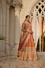 Load image into Gallery viewer, Rust embellished lehenga