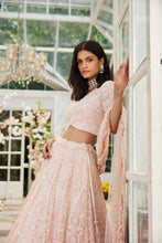 Load image into Gallery viewer, Pink organza heavily embellished lehenga