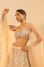Load image into Gallery viewer, Nude embroidered lehenga set