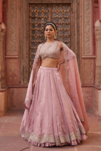 Load image into Gallery viewer, Blush pink glass tissue silk blouse, lehenga and dupatta