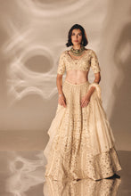 Load image into Gallery viewer, BEIGE GOLD BRIDAL LEHENGA SET