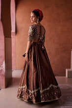 Load image into Gallery viewer, Brown upada silk blouse, lehenga and organza dupatta