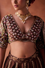 Load image into Gallery viewer, Brown upada silk blouse, lehenga and organza dupatta