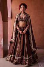 Load image into Gallery viewer, Brown upada silk blouse, lehenga and organza dupatta