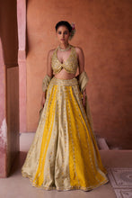 Load image into Gallery viewer, Mustard and sage green silk blouse, lehenga and organza dupatta