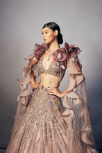 Load image into Gallery viewer, Nina Shimmer Tulle lehenga cape set