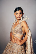 Load image into Gallery viewer, Renne Organza lehenga Set