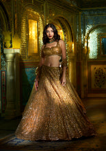 Load image into Gallery viewer, Copper Sequin Lehenga Set