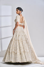 Load image into Gallery viewer, Nude Pearl Lehenga Set