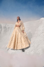Load image into Gallery viewer, Cream Gold Cut Work Lehenga Set