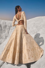 Load image into Gallery viewer, Cream Gold Cut Work Lehenga Set