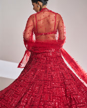 Load image into Gallery viewer, Red Sequin Lehenga Set
