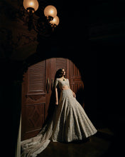 Load image into Gallery viewer, Nude Pearl Lehenga Set