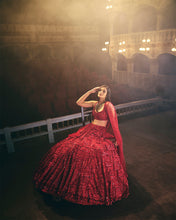 Load image into Gallery viewer, Red Sequin Lehenga Set