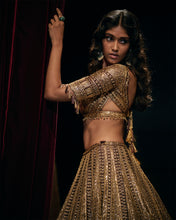 Load image into Gallery viewer, Deep Wine Sequin Lehenga Set