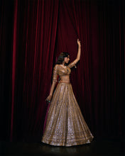 Load image into Gallery viewer, Deep Wine Sequin Lehenga Set