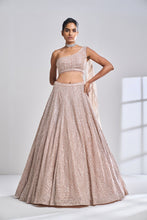 Load image into Gallery viewer, Rose Gold Pearl Lehenga Set