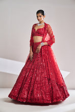 Load image into Gallery viewer, Red Sequin Lehenga Set