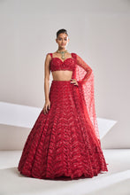 Load image into Gallery viewer, Red Leaf Lehenga